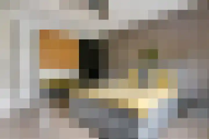 Sterappel 10 Geldermalsen thumbnail 39