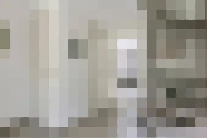 Sterappel 10 Geldermalsen thumbnail 4