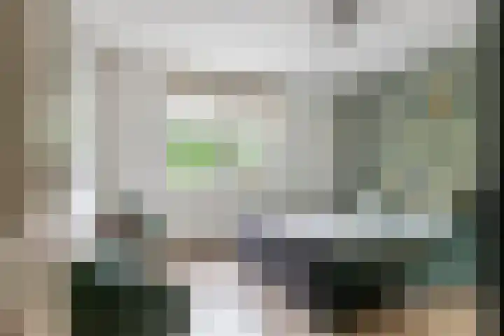 Sterappel 10 Geldermalsen thumbnail 40