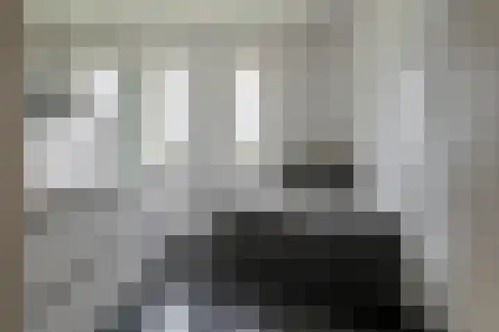 Sterappel 10 Geldermalsen thumbnail 42