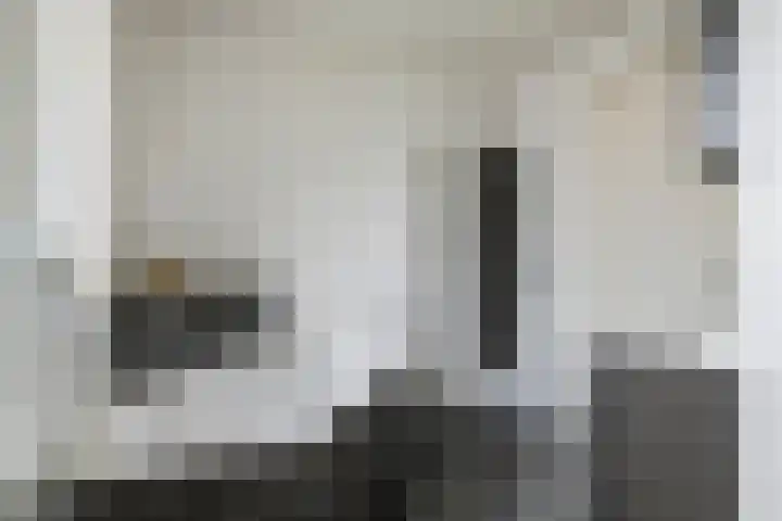 Sterappel 10 Geldermalsen thumbnail 45