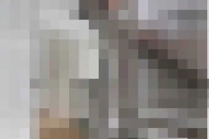 Sterappel 10 Geldermalsen thumbnail 48