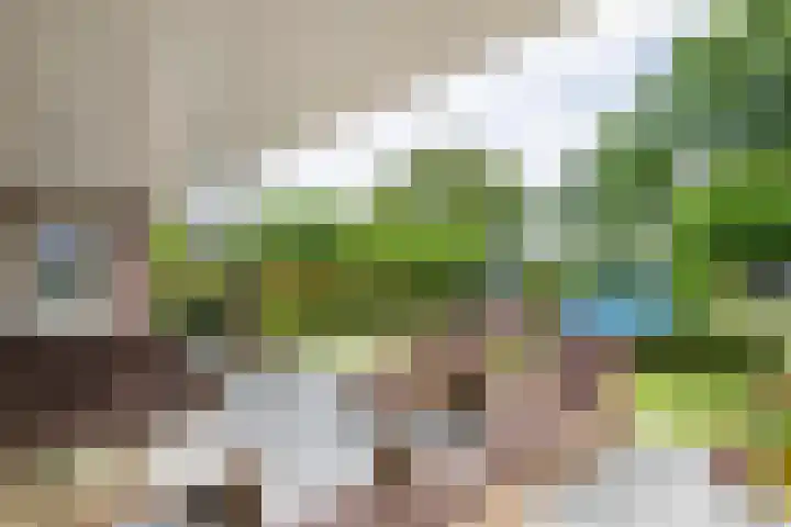 Sterappel 10 Geldermalsen thumbnail 51