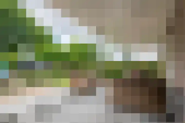 Sterappel 10 Geldermalsen thumbnail 52