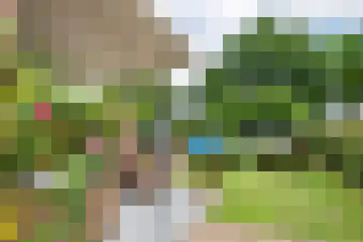 Sterappel 10 Geldermalsen thumbnail 54