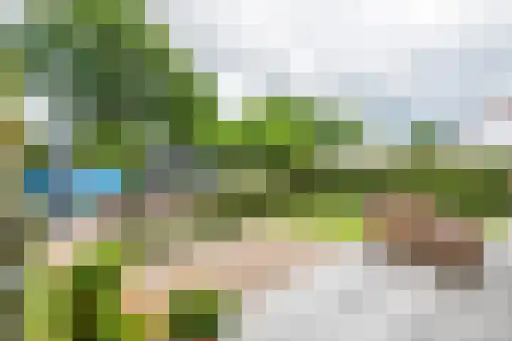 Sterappel 10 Geldermalsen thumbnail 55