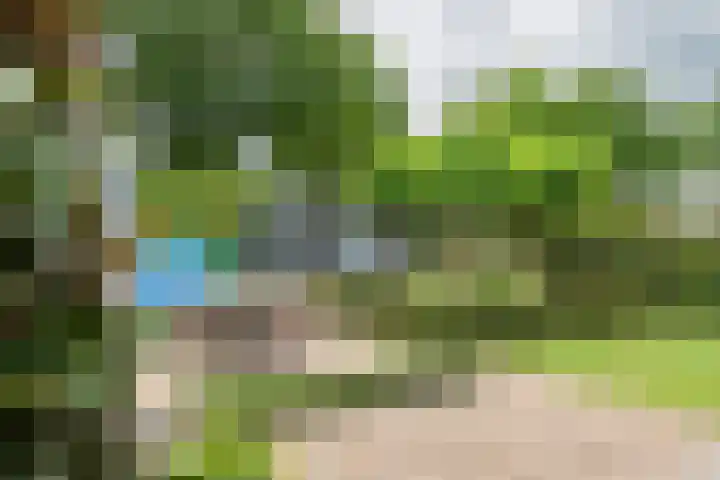Sterappel 10 Geldermalsen thumbnail 56