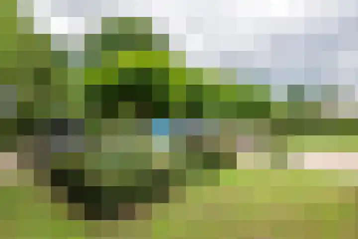 Sterappel 10 Geldermalsen thumbnail 57