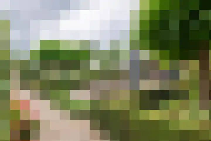 Sterappel 10 Geldermalsen thumbnail 60