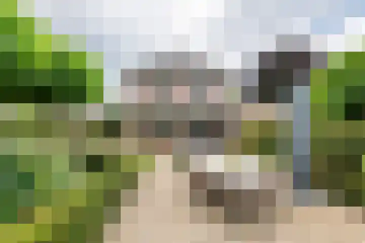 Sterappel 10 Geldermalsen thumbnail 61