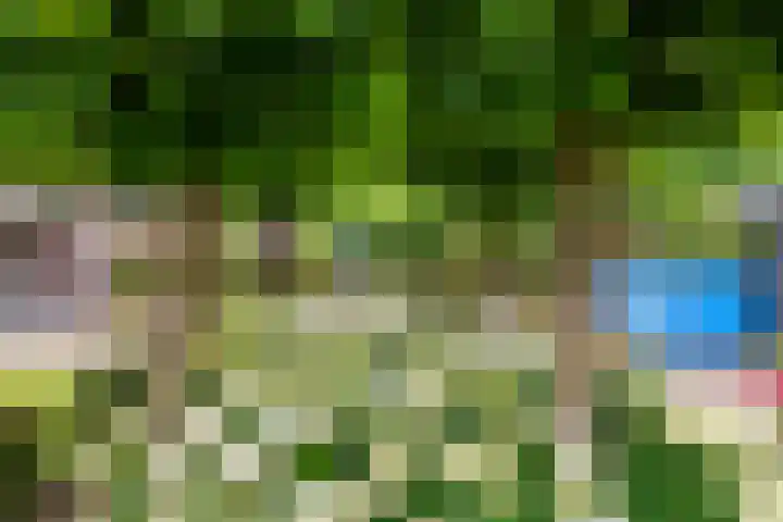 Sterappel 10 Geldermalsen thumbnail 63