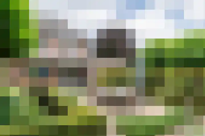 Sterappel 10 Geldermalsen thumbnail 65