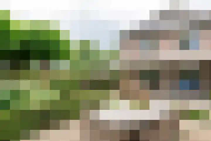 Sterappel 10 Geldermalsen thumbnail 66
