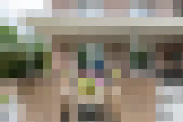 Sterappel 10 Geldermalsen thumbnail 67