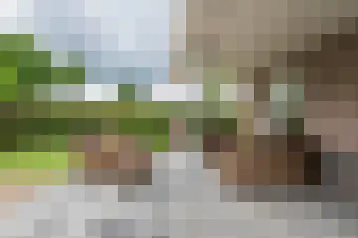 Sterappel 10 Geldermalsen thumbnail 68