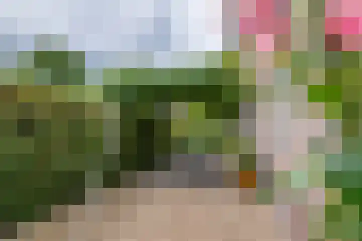 Sterappel 10 Geldermalsen thumbnail 69