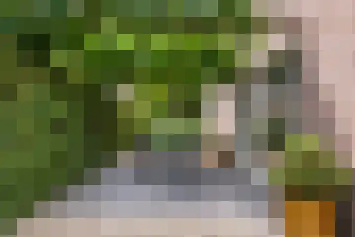 Sterappel 10 Geldermalsen thumbnail 70
