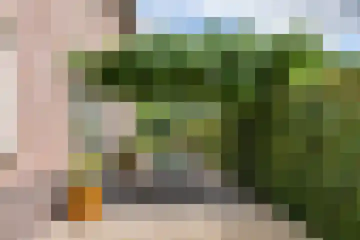 Sterappel 10 Geldermalsen thumbnail 71