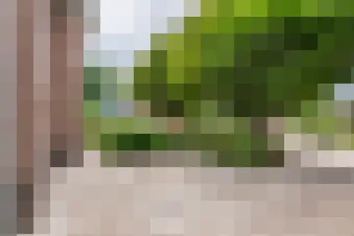 Sterappel 10 Geldermalsen thumbnail 72