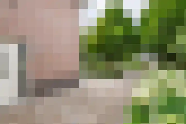 Sterappel 10 Geldermalsen thumbnail 73