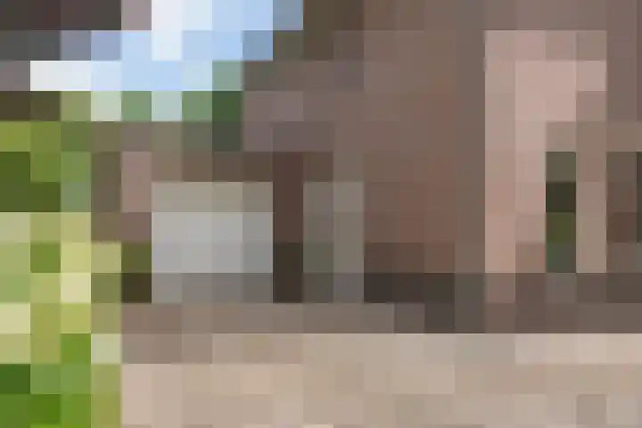 Sterappel 10 Geldermalsen thumbnail 74