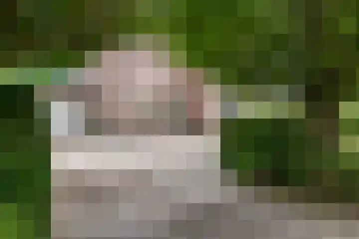 Sterappel 10 Geldermalsen thumbnail 75
