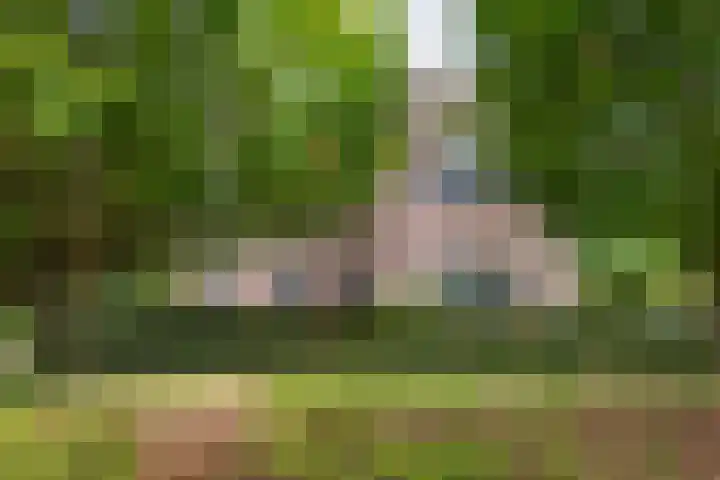 Sterappel 10 Geldermalsen thumbnail 76