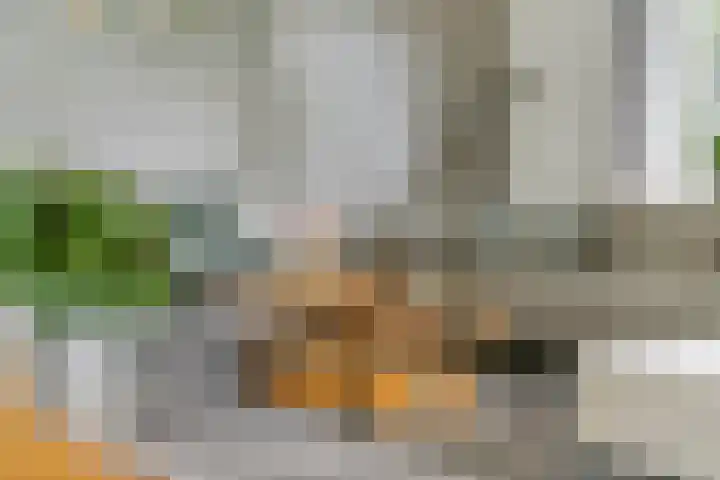 Sterappel 10 Geldermalsen thumbnail 8