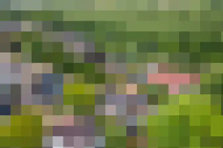 Sterappel 10 Geldermalsen thumbnail 84