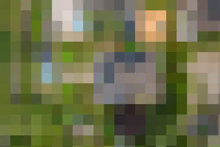 Sterappel 10 Geldermalsen thumbnail 86