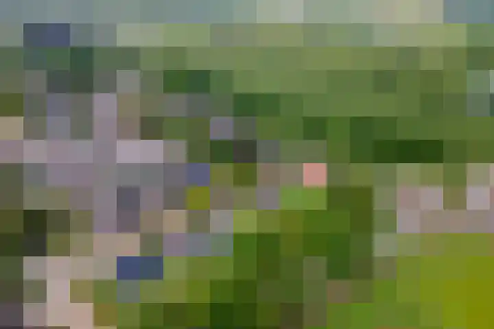 Sterappel 10 Geldermalsen thumbnail 87