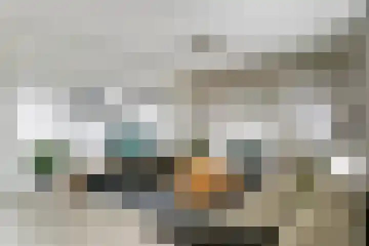 Sterappel 10 Geldermalsen thumbnail 9