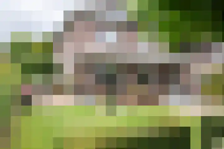 Sterappel 10 Geldermalsen thumbnail 92