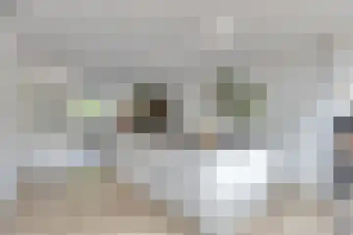 Sterappel 12 Asten thumbnail 11