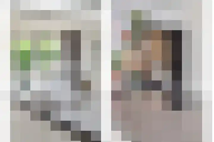Sterappel 12 Asten thumbnail 12