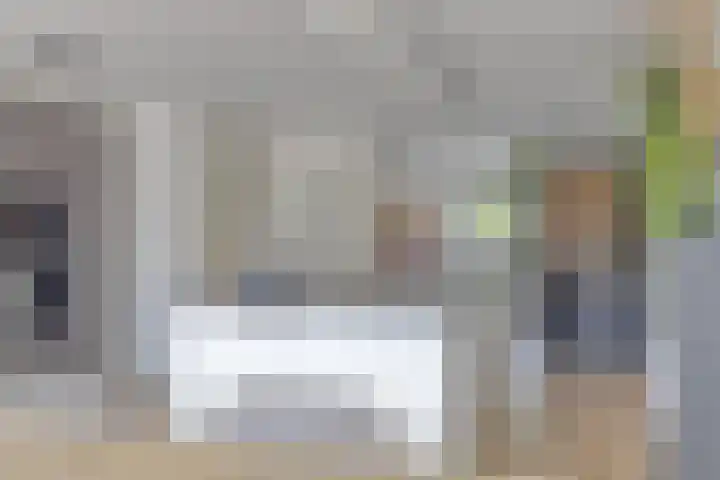 Sterappel 12 Asten thumbnail 14