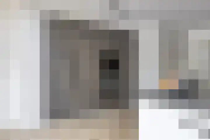Sterappel 12 Asten thumbnail 15