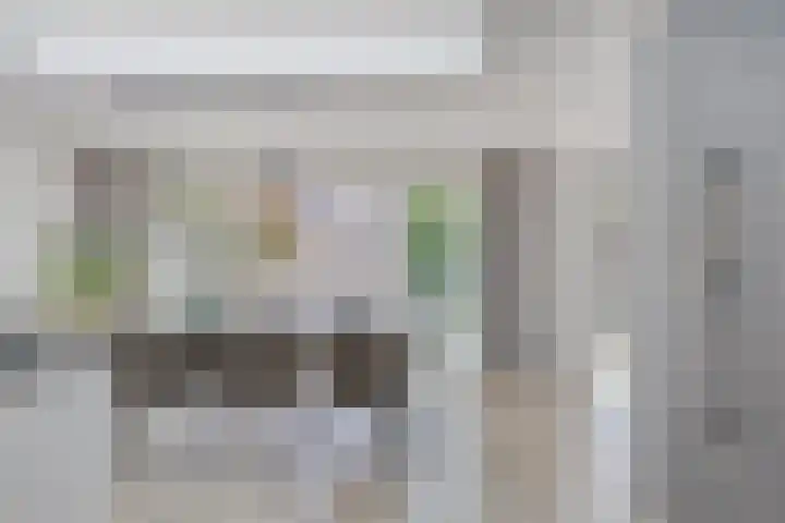 Sterappel 12 Asten thumbnail 16
