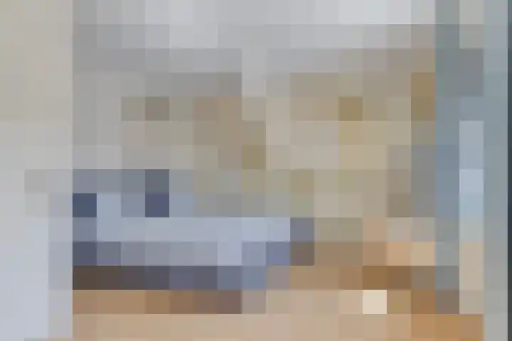 Sterappel 12 Asten thumbnail 25