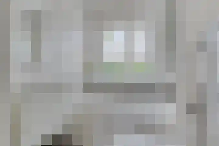 Sterappel 12 Asten thumbnail 27
