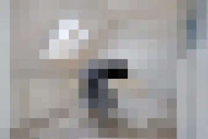 Sterappel 12 Asten thumbnail 33