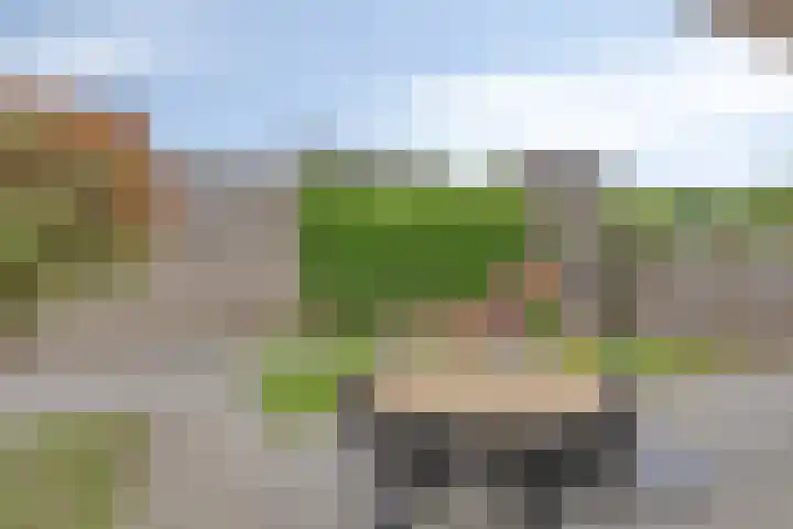 Sterappel 12 Asten thumbnail 36