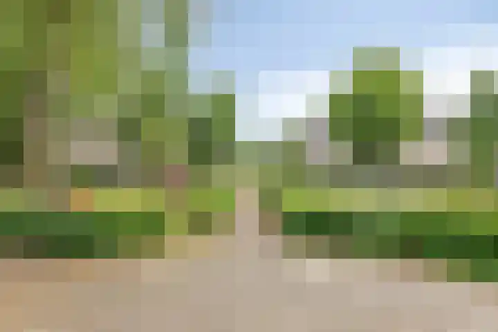 Sterappel 12 Asten thumbnail 39