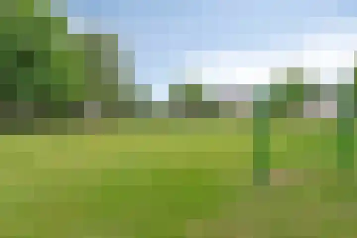 Sterappel 12 Asten thumbnail 40