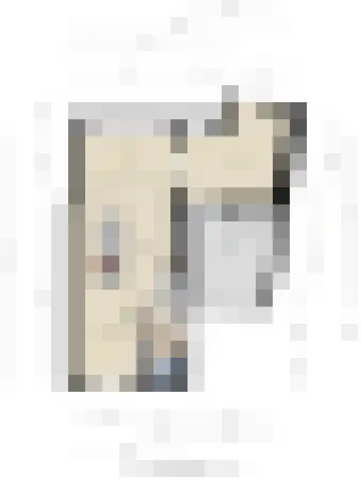 Sterappel 12 Asten thumbnail 42