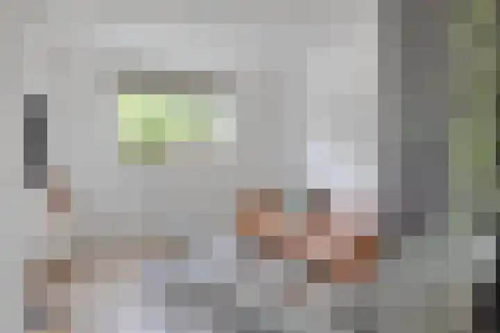 Sterappel 12 Asten thumbnail 9