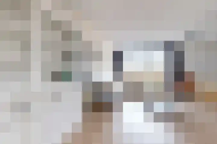 Sterappel 14 Fijnaart thumbnail 10