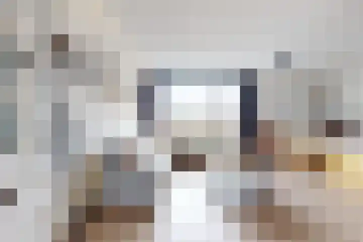 Sterappel 14 Fijnaart thumbnail 11