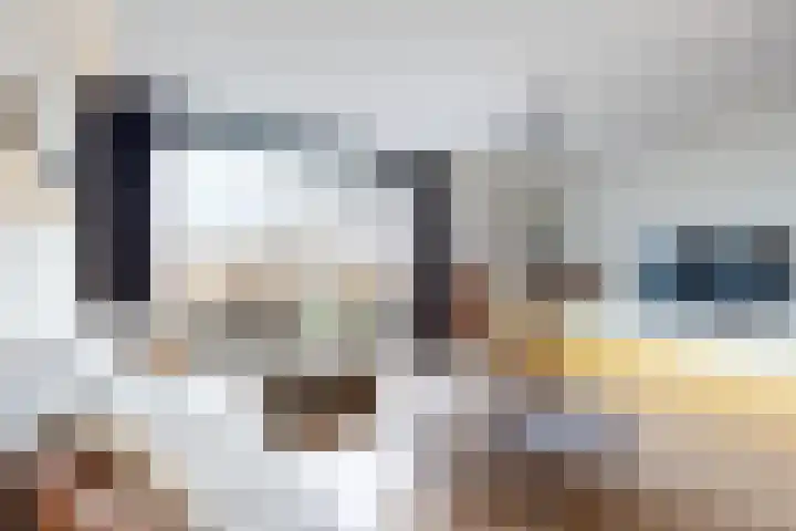Sterappel 14 Fijnaart thumbnail 12