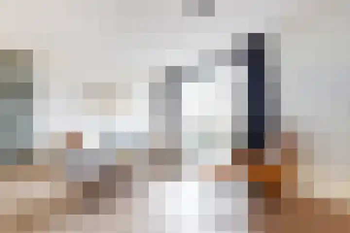 Sterappel 14 Fijnaart thumbnail 13